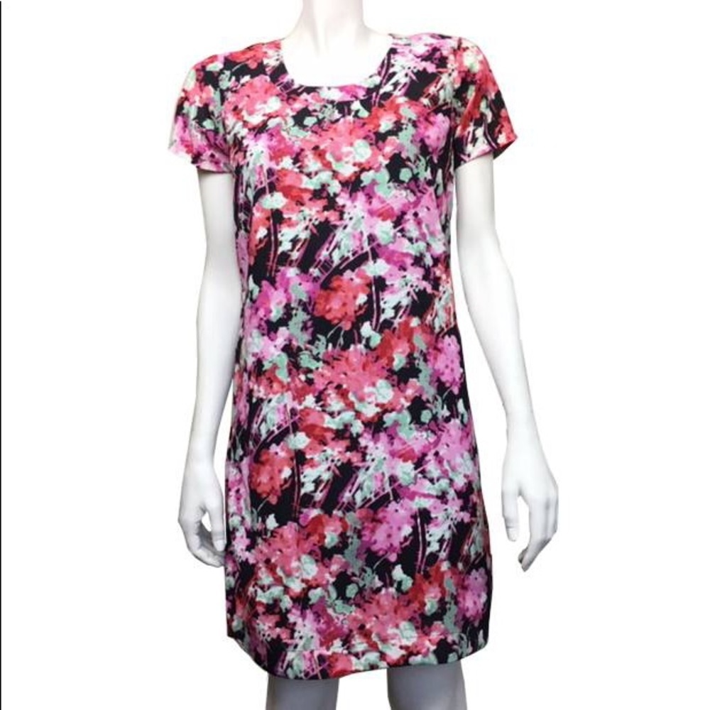 Japna Bold Floral Sheath Dress